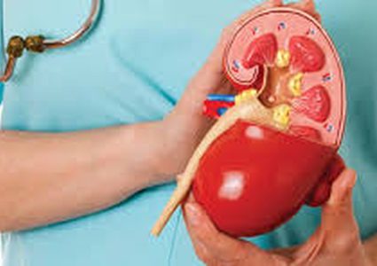 العلاج بالتغذية يبطّئ الحاجة للغسيل الكلوي