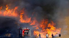 احتراق مزرعة في سبسطية بفعل الاحتلال