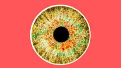 هل هناك علاج لعمى الألوان؟