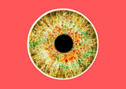 هل هناك علاج لعمى الألوان؟