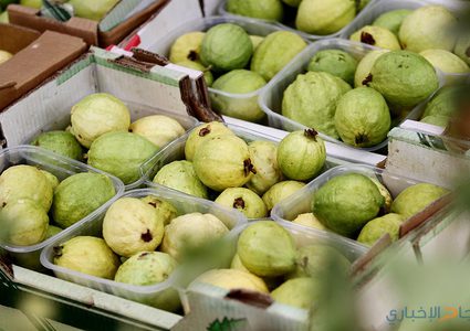 فاكهة "مدينة الجدارين" المدللة في بيوت الأردنيين