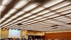 لجنة المتابعة تطرح مخاطر "قانون القومية" في جنيف