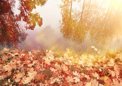 خصائص فصل الخريف