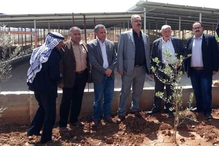 وزير الزراعة يتفقد الواقع الزراعي في محافظة جنين