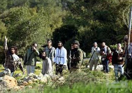 مستوطنون يقتلعون أشجارا مثمرة جنوب الخليل