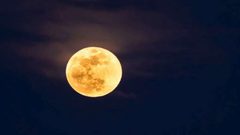 علاقة غريبة بين إكتمال البدر وزيادة الجرائم!