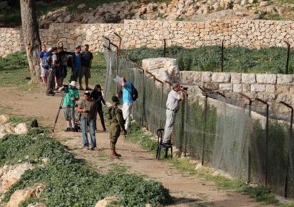 مستوطنون يقتحمون جبل رويسات ونبعة الهدف