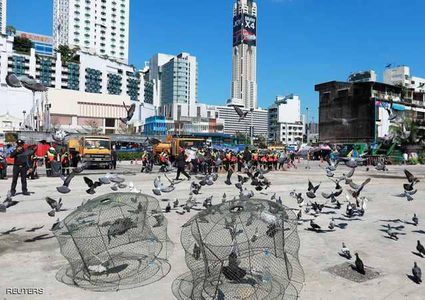 السجن.. عقوبة "إطعام الحمام" في تايلاند