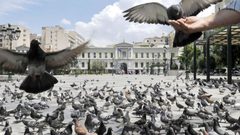 لن تصدق ما هي عقوبة "إطعام الحمام" في تايلاند!