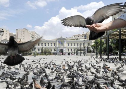 لن تصدق ما هي عقوبة "إطعام الحمام" في تايلاند!