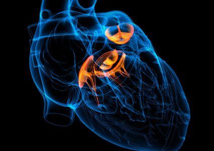 دراسة :مرض قلبي بسيط يمكن أن يسبب وفاتك المفاجئة!