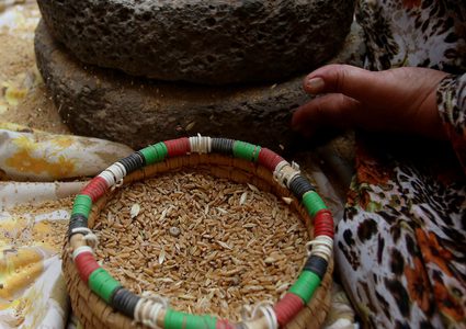 سيدة فلسطينية تطحن القمح بواسطة مطحنة حجرية داخل منزلها، في قرية جلبون بالقرب من مدينة جنين في الضفة الغربية.