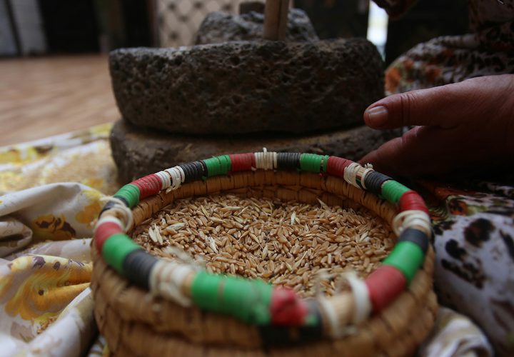 سيدة فلسطينية تطحن القمح بواسطة مطحنة حجرية داخل منزلها، في قرية جلبون بالقرب من مدينة جنين في الضفة الغربية.