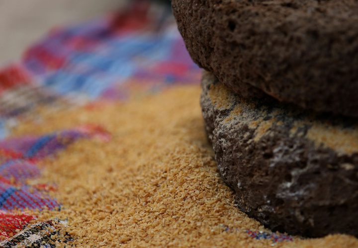 سيدة فلسطينية تطحن القمح بواسطة مطحنة حجرية داخل منزلها، في قرية جلبون بالقرب من مدينة جنين في الضفة الغربية.