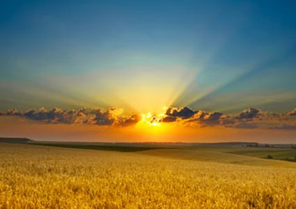 حالة الطقس:أجواء غائمة جزئياً إلى صافية معتدلة