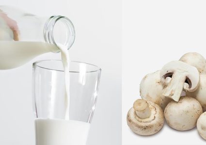 الحليب والفطر ينظمان غلوكوز الدم