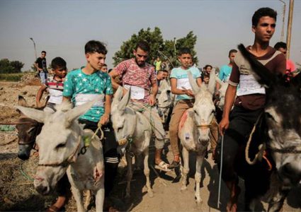 ماراثون للسعادة بمشاركة 35 حمارا