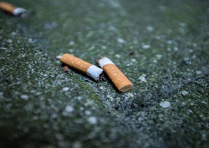 العلماء يحذرون من كارثة بيئية بسبب التدخين