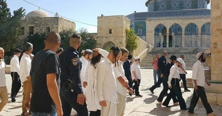 مستوطنون يؤدون رقصات استفزازية قرب الأقصى