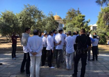 54 مستوطناً يقتحمون الأقصى بحراسة مشددة