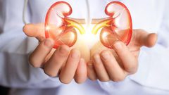 3 نصائح للحفاظ على صحة الكلى