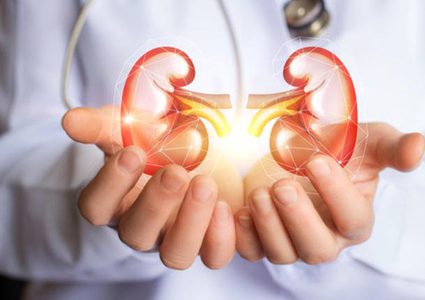 3 نصائح للحفاظ على صحة الكلى