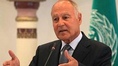 أبو الغيظ: المصالحة ضرورة ملحة