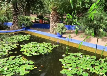 حديقة ماجوريل عندما يصبح الأزرق رمزاً للجمال