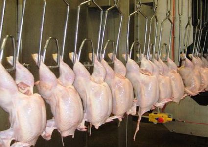 تفاصيل اغلاق ملحمة في دورا