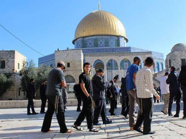 القبض على مستوطن متخفٍ على أسطح المصلى المرواني