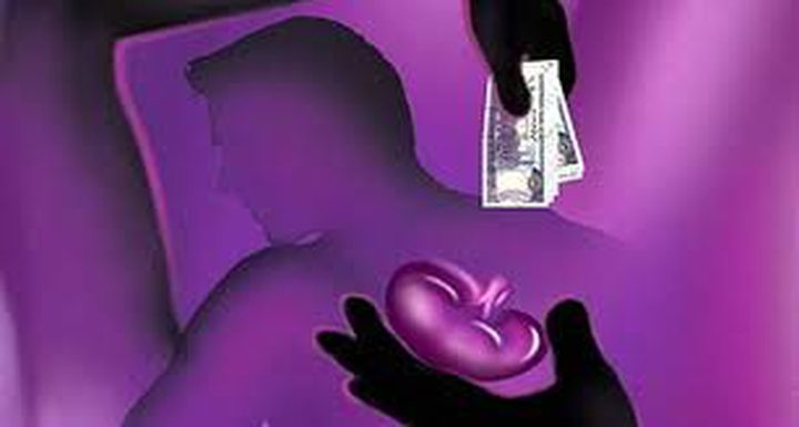 أراد محاربة تجارة أعضاء البشر فأصبح أحد مروجيها!