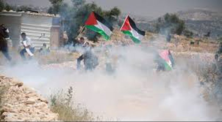 اصابات بالاختناق واحتراق اشجار زيتون في بلعين