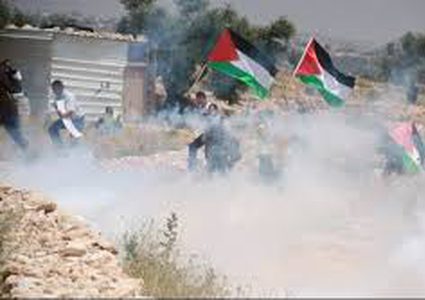 اصابات بالاختناق واحتراق اشجار زيتون في بلعين