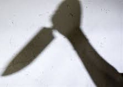 ألمانيا ترفض إطلاق سراح مهندس قتل رجلا ثم أكله