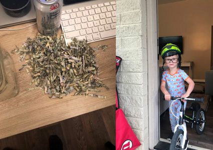 طفل أمريكي يضع مدّخرات والديه في ماكينة فرم الورق