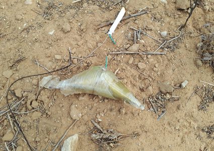 الإحتلال يزعم سقوط قنبلة مولوتوف في مستوطنة أشكول