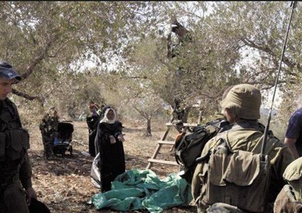 حرب الاحتلال على الزيتون استخفاف بالمجتمع الدولي