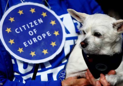 "كلاب لندن" تعاني من "بركسيت"