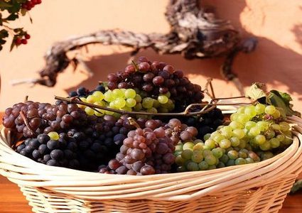 قشر حبات العنب يحمي من سرطان مميت