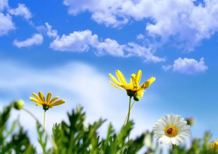 انخفاض طفيف على درجات الحرارة