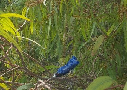 الإحتلال يزعم استمرار سقوط قنابل المولوتف