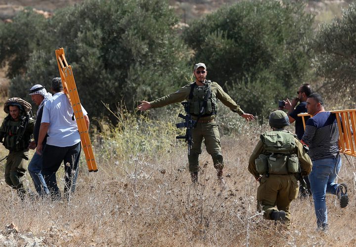 جنود الاحتلال يحاولون منع المزارعين الفلسطينيين من الوصول إلى مزارعهم لحصد الزيتون في قرية الساوية بالقرب من مستوطنةرحيليم، في محافظة نابلس.