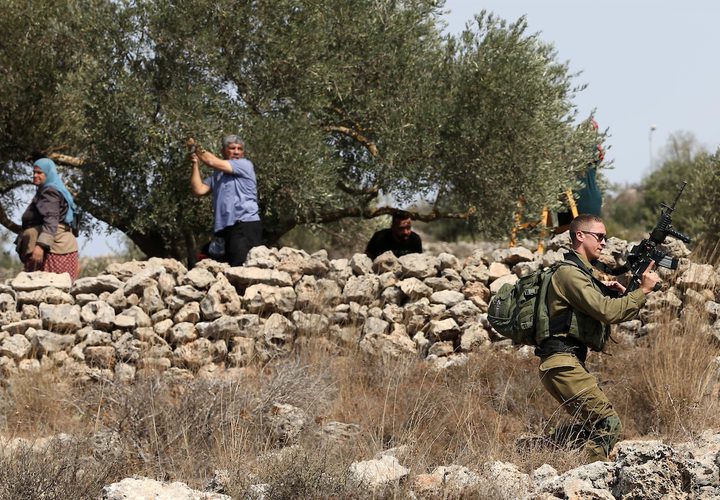 جنود الاحتلال يحاولون منع المزارعين الفلسطينيين من الوصول إلى مزارعهم لحصد الزيتون في قرية الساوية بالقرب من مستوطنةرحيليم، في محافظة نابلس.