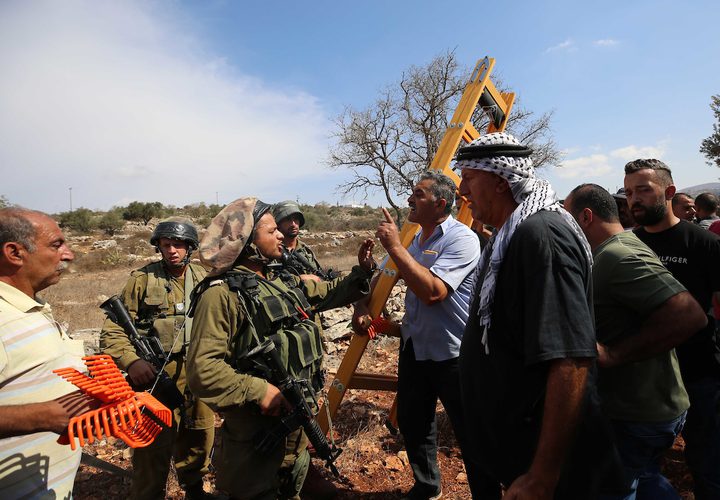 جنود الاحتلال يحاولون منع المزارعين الفلسطينيين من الوصول إلى مزارعهم لحصد الزيتون في قرية الساوية بالقرب من مستوطنةرحيليم، في محافظة نابلس.