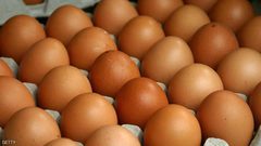 6 بيضات أسبوعيا "تجنب الموت المبكر"