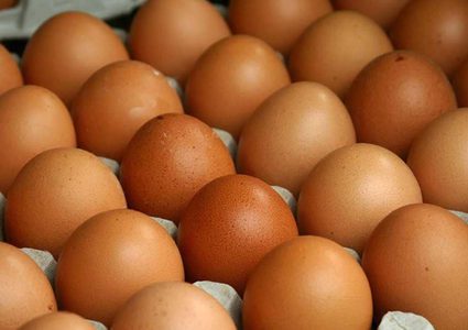 6 بيضات أسبوعيا "تجنب الموت المبكر"