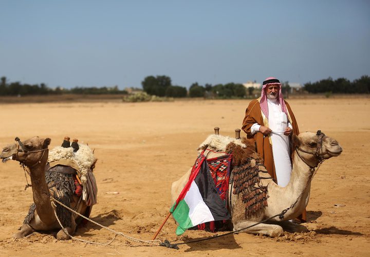 فلسطينيون يؤدون الرقص التقليدي خلال مهرجان تراثي على الحدود بين إسرائيل وغزة.