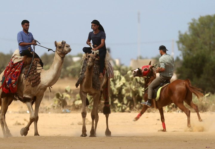 فلسطينيون يؤدون الرقص التقليدي خلال مهرجان تراثي على الحدود بين إسرائيل وغزة.