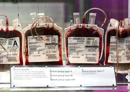 ما يجب معرفته عن فئات الدم