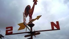 من الأفضل في معرفة الاتجاهات الرجال أم النساء ؟